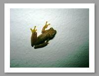 DSCN0210.JPG